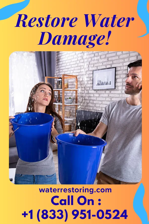 water restoration Sentinel Water Removal Pros Hilton Head Island