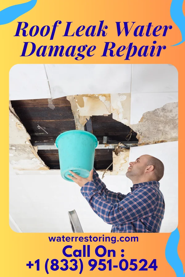 Roof Leak Water Damage Repair in Hilton Head Island, SC