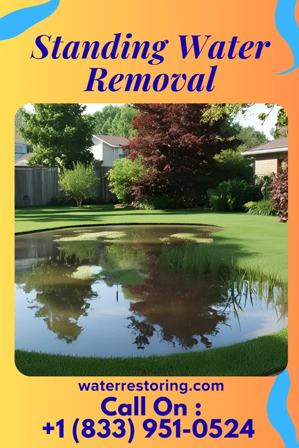 Standing Water Removal in Hilton Head Island, SC